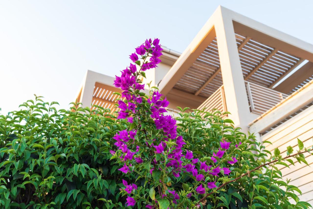 Aelia Home Suites Marathopoli Ngoại thất bức ảnh